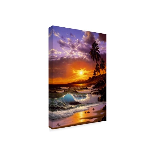 Anthony Casay 'Sunset Coast 5' Canvas Art,12x19